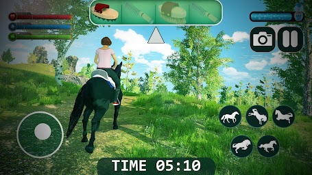 Wild Horse Games Simulator 3D