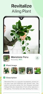 AI Plant Identifier App