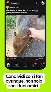 Immagine screenshot