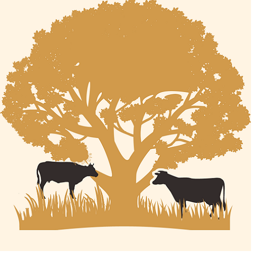 AAHAR logo
