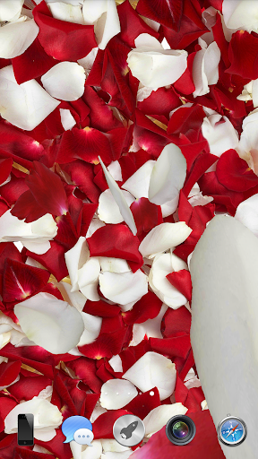 Petals 3D live wallpaper Screenshot 1 - AppWisp.com