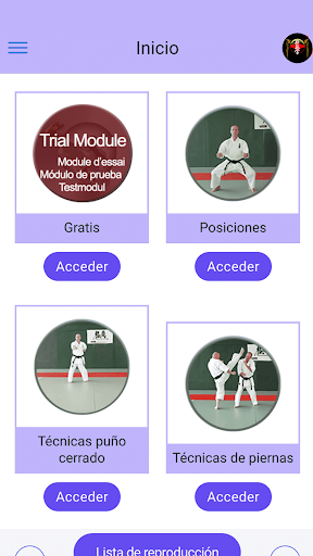 Vista previa de la aplicación