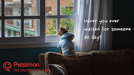 screenshot of Petsimon pet monitoring camera