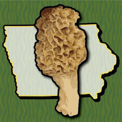 Iowa Mushroom Forager Map