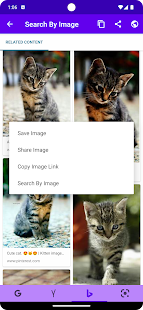 Search By Image Screenshot