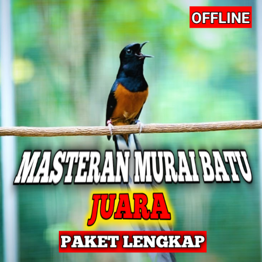 Masteran murai batu juara mp3 Download on Windows