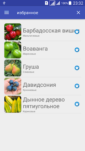 Фрукты.Большая Энциклопедия