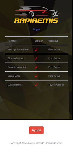 RapiRemis Screen 3