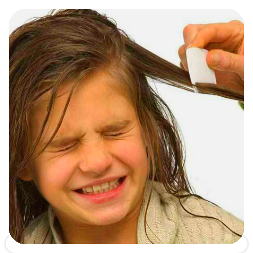 Head Lice Tips logo