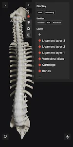 Biomechanics of the Spine Lite