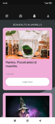 Amorillo Flowers Club Screen 3