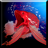 Red Arowana LiveWallpaper icon