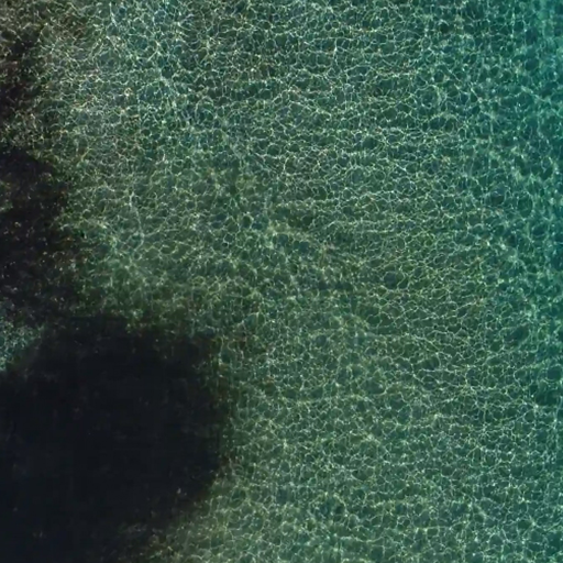 ocean waves video wallpaper logo