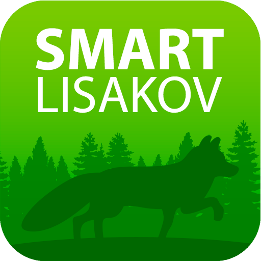 Smart Lisakov Смарт Лисаков