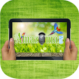 Radio Amazonia Web icon