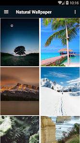 Natural Wallpaper 1.3 APK + Mod (Free purchase) for Android
