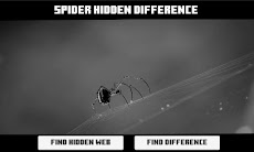 Spider Hidden Differenceのおすすめ画像2