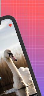 Unknown app Screenshot