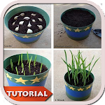 Cover Image of Download DIY Gardening Planting 2.2 APK