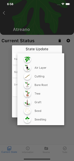 My Fig Trees Screen 2
