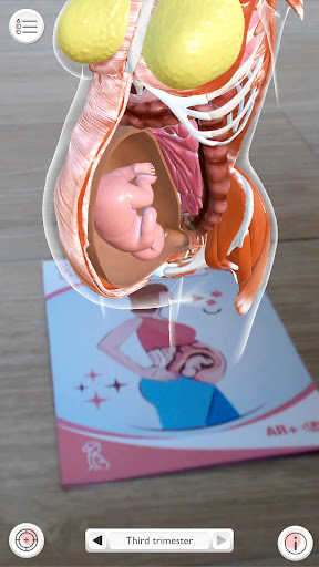 Baby cards AR+ Screen 2