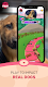 screenshot of TREAT: Play & impact REAL dogs
