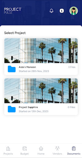 Project Pulse Screen 3