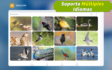Screenshot 18 Animal Mágico: ¡180 Sonidos de android