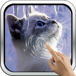 Interactive Kitten Apk