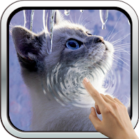 Interactive Kitten