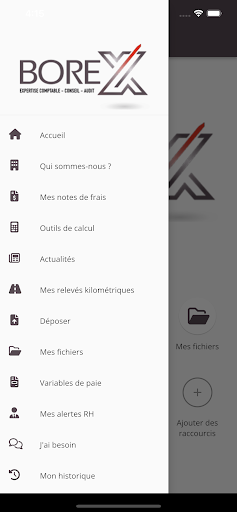 BOREX Screen 3