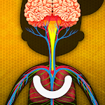 Cover Image of Unduh How does The Human Body Work?  APK