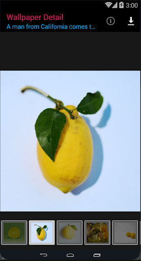 HD Material Lemon