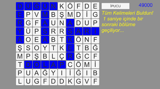 Hızlı Kelime Bulmaca