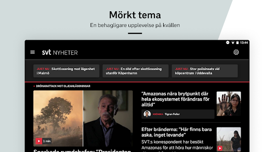 SVT Nyheter Screenshot