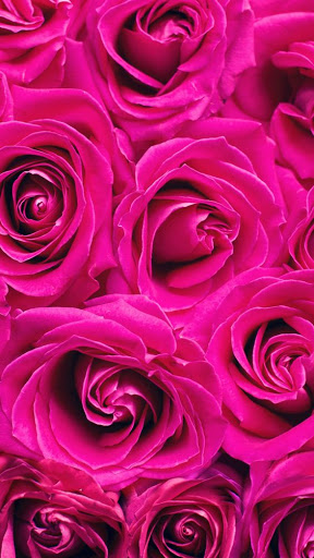 ✓ [Updated] Sweet love flowers, Roses Live Wallpapers, GIF/4K for PC / Mac  / Windows 11,10,8,7 / Android (Mod) Download (2023)