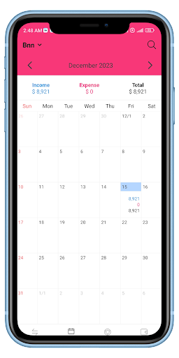Money Management Tool V2 Screen 3