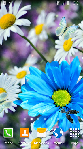 Daisies Flowers Live Wallpaper Screen 2