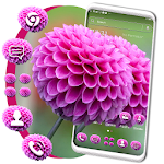 Cover Image of डाउनलोड Dahlia Flower Theme  APK