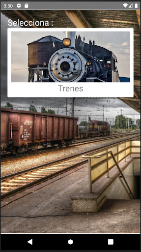 Rompecabezas de Trenes