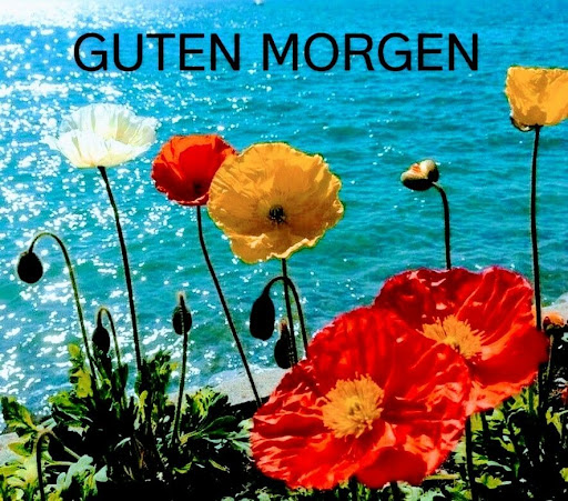 GutenMorgen  GIF 2023