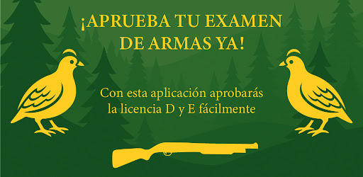 Test Licencia de Armas D y E