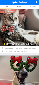 Petfinder rehome cheap