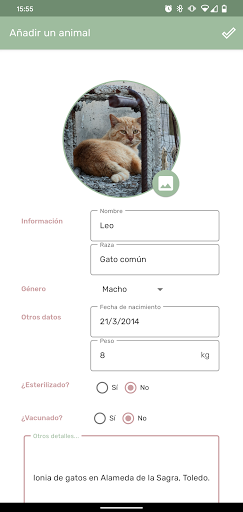 Shelter Screen 2