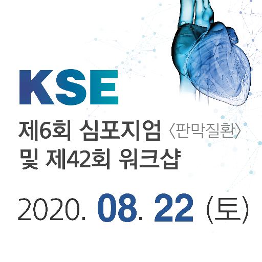 제6회 KSE 심포지엄<판막질환>및 제42회 워크샵 logo