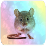 Mouse sounds icon