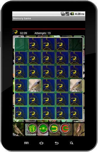 True Birds Memory Game screenshot 13