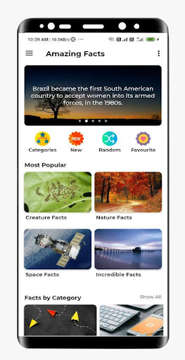 Android application Amazing Facts screenshort