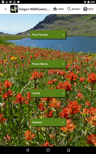 Screenshot of Oregon Wildflowers