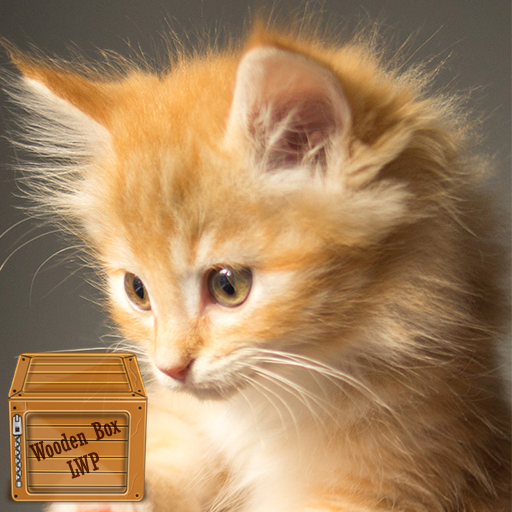 small cat wallpaper logo